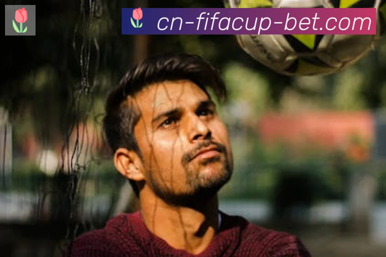 FIFA世界杯买球入口荣誉