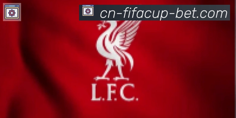 FIFA世界杯买球入口合作伙伴